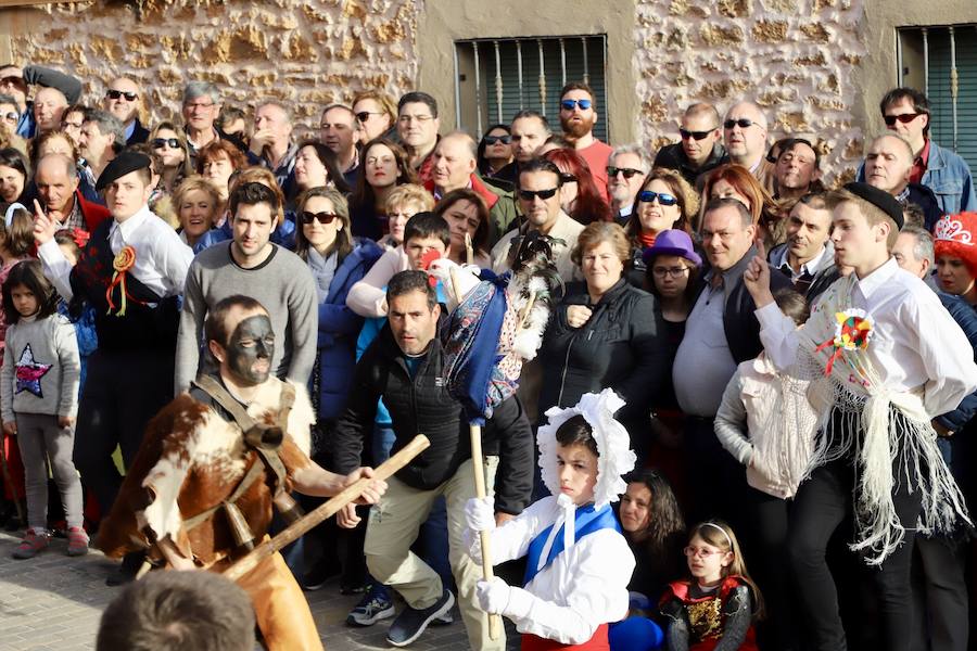 La localidad burgalesa representa su fiesta pagana, recuperada tras la dictadura, en la que los mozos intentan robar el ave al rey, simbolizado en un niño, y protegido por el zarramaco