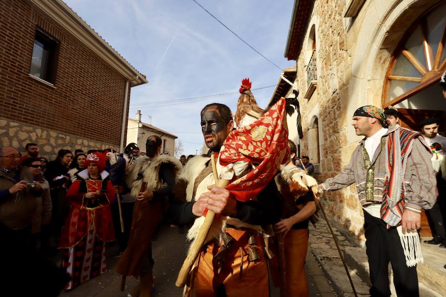 La localidad burgalesa representa su fiesta pagana, recuperada tras la dictadura, en la que los mozos intentan robar el ave al rey, simbolizado en un niño, y protegido por el zarramaco