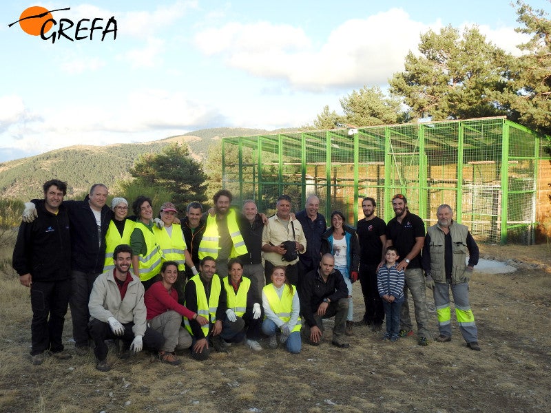 Fotos del trabajo de la ING conservacionista GREFA en la provincia de Burgos. El proyecto Monachus se desarrolla en Huerta de Arriba donde se quiere reintroducir el buitre negro. En VIllafruela se lucha contra la plaga de topillos con aves rapaces depredadoras.