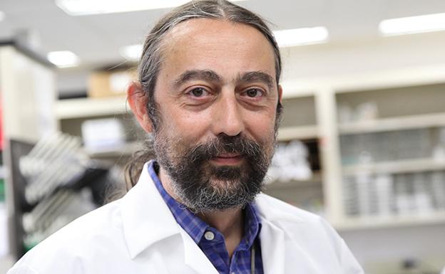 El investigador burgalés y catedrático de Medicina y Microbiología Adolfo García Sastre. 