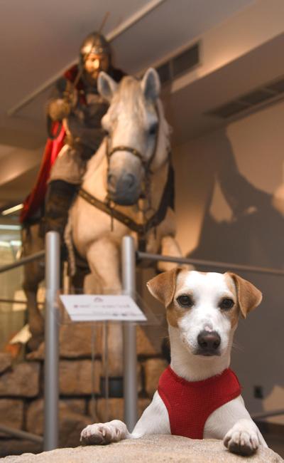 Pipper con el Cid al fondo. 