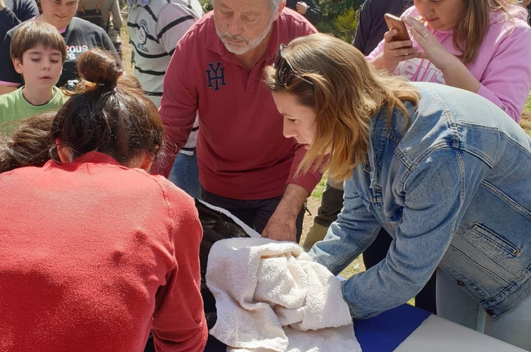 Aurora Nacarino-Brabo observa un ejemplar de buitre negro. 
