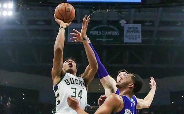 Giannis Antetokounmpo, en un duelo entre los Bucks y los Hornets de esta temporada. 