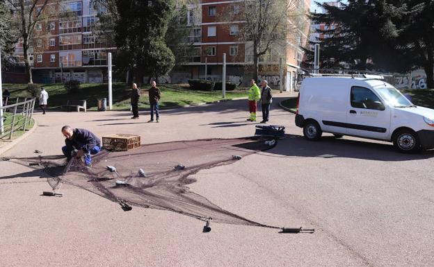 La captura se realiza con medios incruentos.