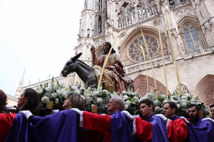 La Borriquilla, portada por la Cofradía de la Coronación de Espinas y de Cristo Rey, junto a la Catedral.