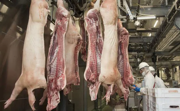 Carnes Selectas es una empresa de Campofrío