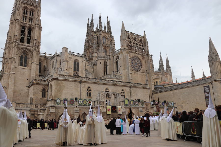 Burgos ha vivido esta tarde una procesión diferente. Ha sido un desfile religioso 'al uso' como los que se verán a partir del Viernes de Dolores por las calles de la capital del Arlanzón, pero con un objetivo que lo ha hecho muy especial: celebrar los 75 años de la fundación de la Real Hermandad de la Sangre del Santísimo Cristo de Burgos y Nuestra Señora de los Dolores, de la Cofradía de Nuestra Señora de la Soledad y Santiago y de la rama penitencial de la Ilustre Archicofradía del Santísimo Sacramento y de Jesús con la Cruz a cuestas.