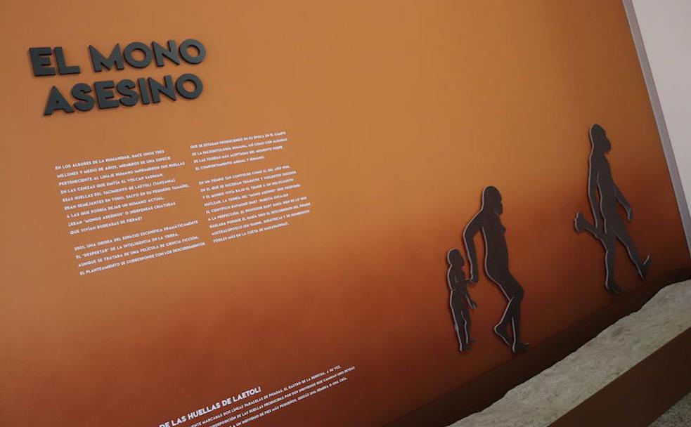 Entrada a la sala de exposciones