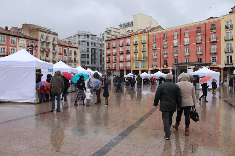 El tiempo ha marcado el desarrollo de la celebración del Día del Libro en Burgos. La afluencia por la mañana ha sido baja por culpa de la lluvia, pero por la tarde ha mejorado el tiempo y los puestos han recibido a un gran número de curiosos.