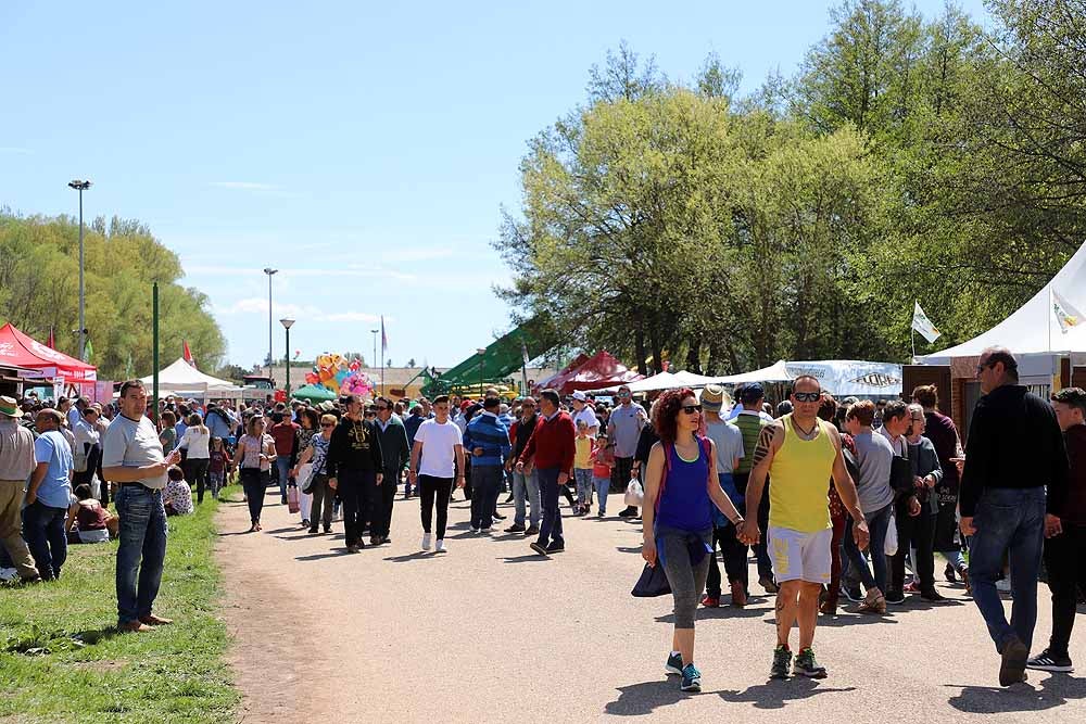 La Villa Ducal de Lerma vive, hasta el próximo 3 de mayo, su Feria de Maquinaria Agrícola con 175 expositores y un buen tiempo que ha llenado de visitantes el recinto ferial en su primera jornada