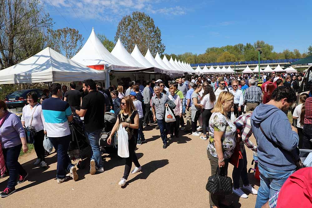 La Villa Ducal de Lerma vive, hasta el próximo 3 de mayo, su Feria de Maquinaria Agrícola con 175 expositores y un buen tiempo que ha llenado de visitantes el recinto ferial en su primera jornada