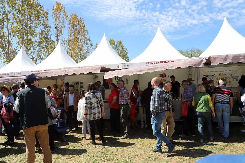 La Villa Ducal de Lerma vive, hasta el próximo 3 de mayo, su Feria de Maquinaria Agrícola con 175 expositores y un buen tiempo que ha llenado de visitantes el recinto ferial en su primera jornada