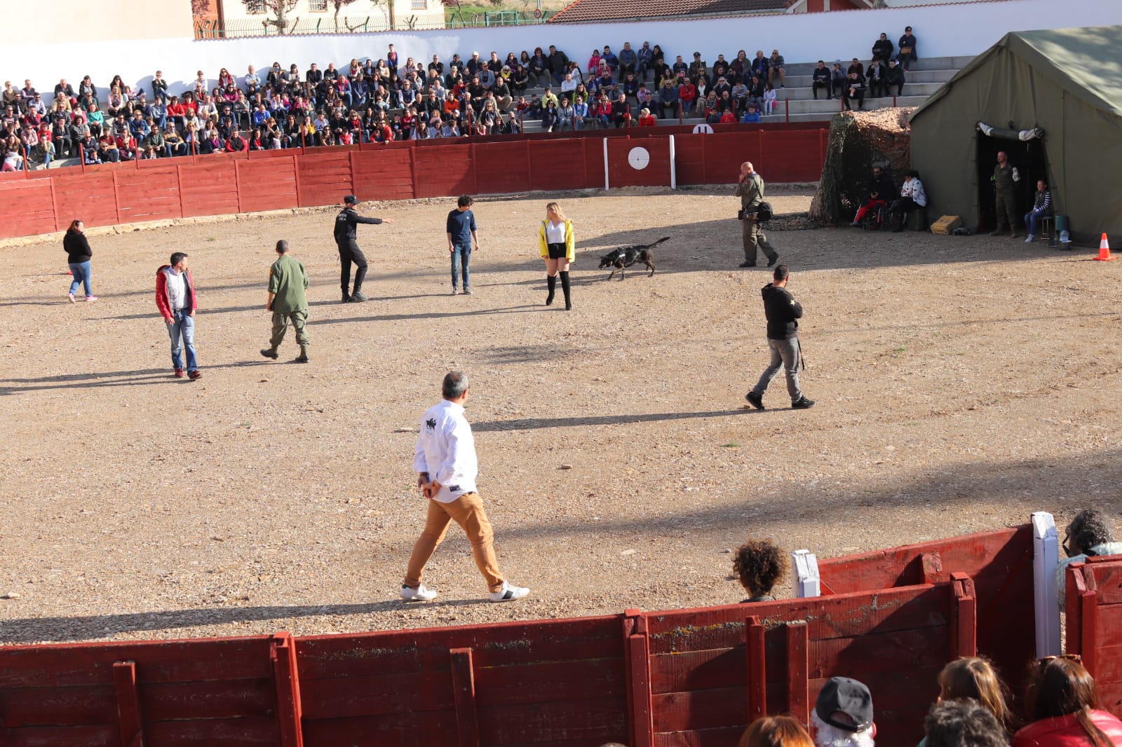 Fotos: Recreación dinámica de la II Guerra Mundial durante la IV Expohistórica de Belorado.