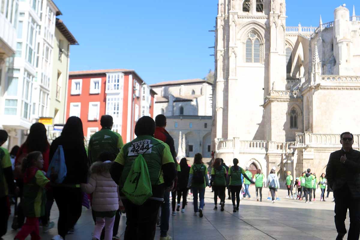 Miles de burgaleses participan en la I Marcha Contra el Cáncer de Burgos, que agota los dorsales