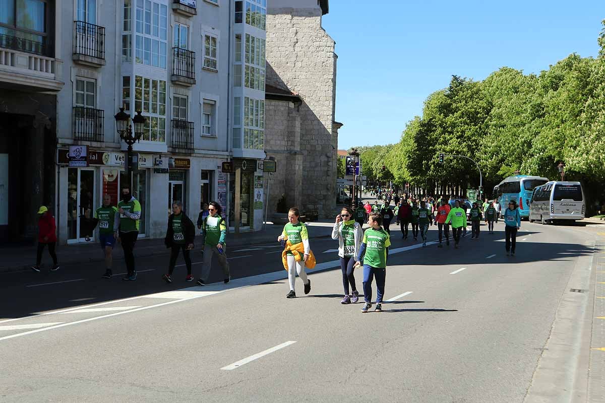 Miles de burgaleses participan en la I Marcha Contra el Cáncer de Burgos, que agota los dorsales