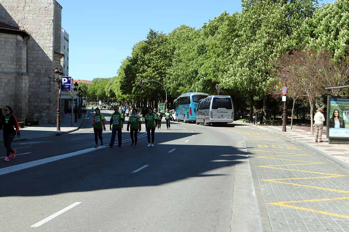 Miles de burgaleses participan en la I Marcha Contra el Cáncer de Burgos, que agota los dorsales
