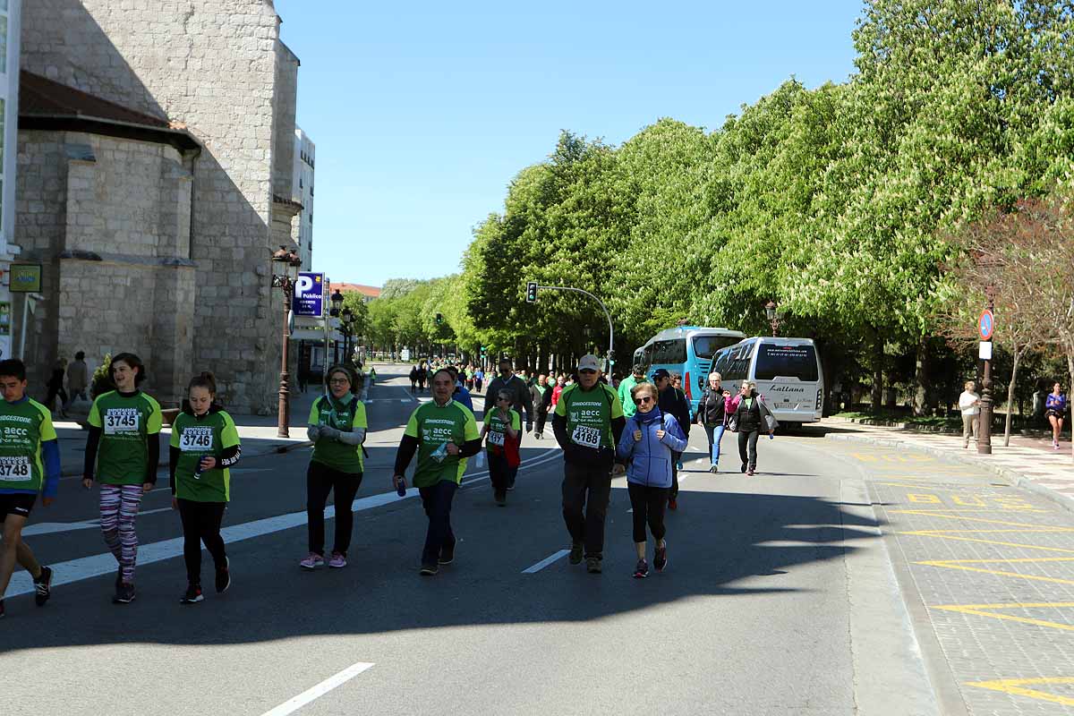 Miles de burgaleses participan en la I Marcha Contra el Cáncer de Burgos, que agota los dorsales