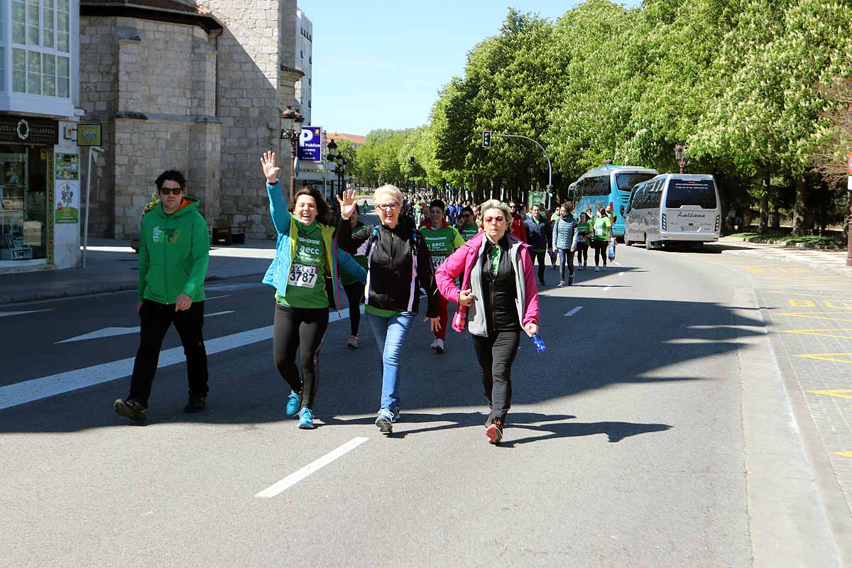 Miles de burgaleses participan en la I Marcha Contra el Cáncer de Burgos, que agota los dorsales