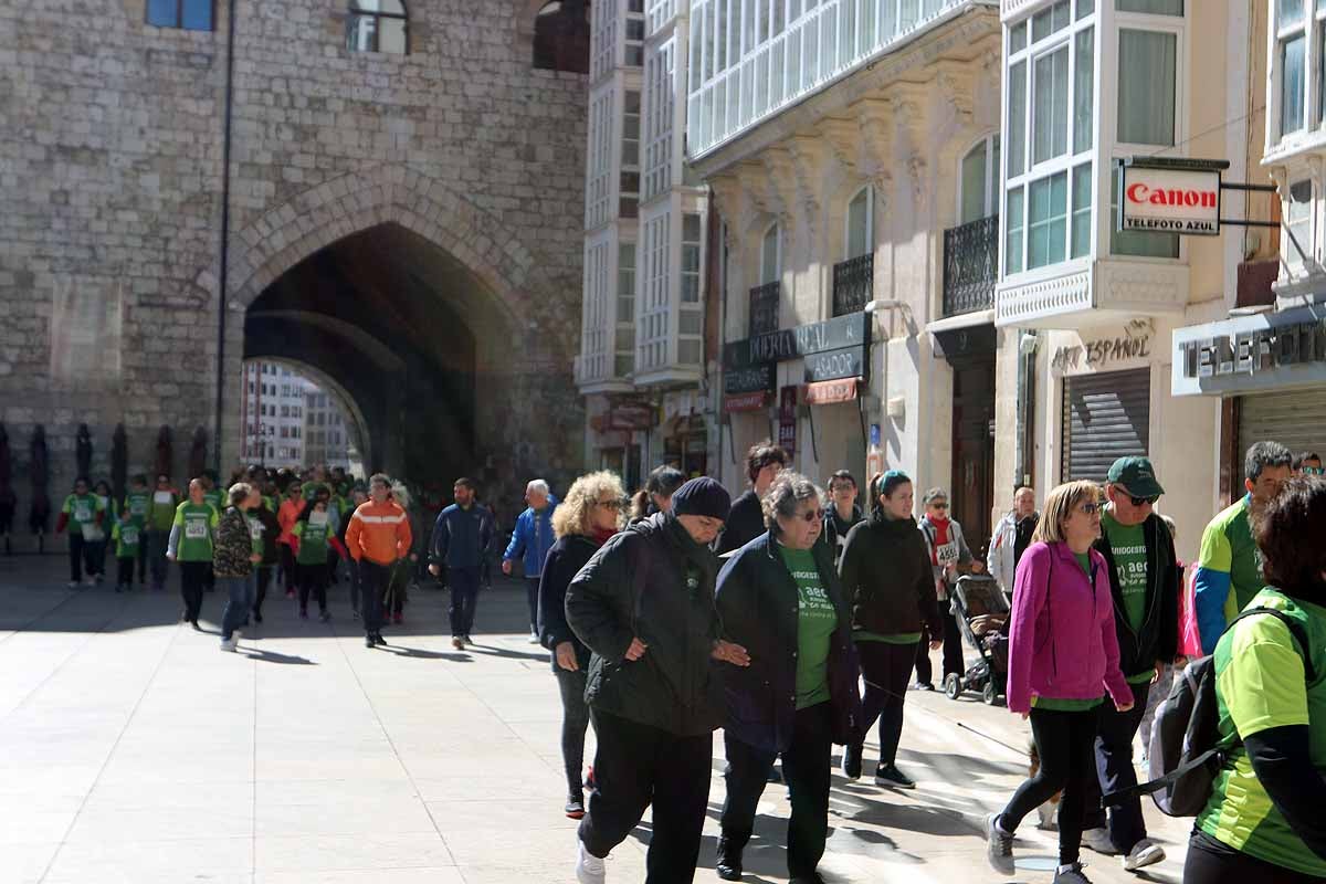 Miles de burgaleses participan en la I Marcha Contra el Cáncer de Burgos, que agota los dorsales