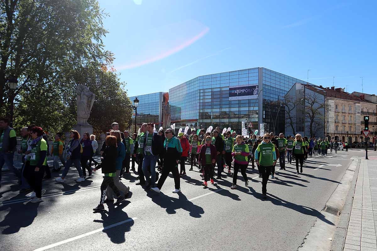 Miles de burgaleses participan en la I Marcha Contra el Cáncer de Burgos, que agota los dorsales