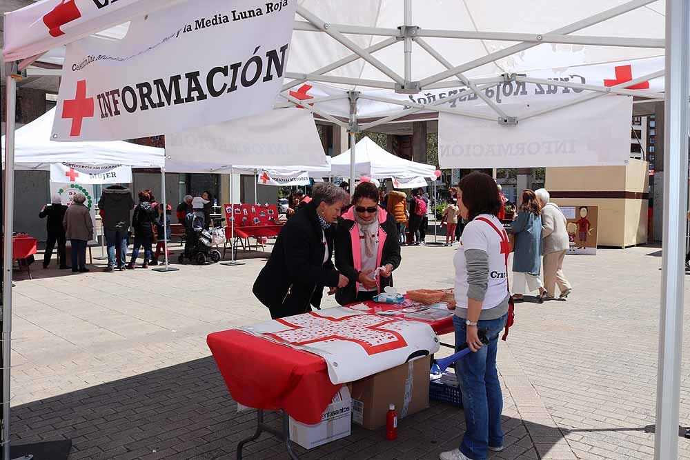 Cruz Roja Burgos ha organizado una jornada de convivencia en la Plaza de España para dar a conocer su trabajo con motivo del Día de la Cruz Roja y la Media Luna Roja