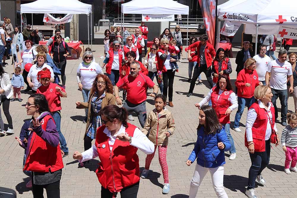 Cruz Roja Burgos ha organizado una jornada de convivencia en la Plaza de España para dar a conocer su trabajo con motivo del Día de la Cruz Roja y la Media Luna Roja