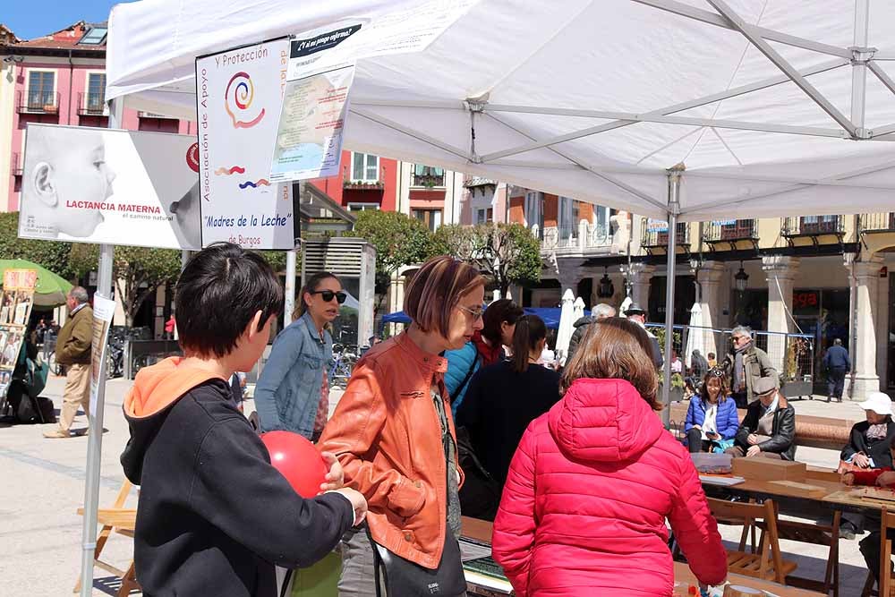 La Plaza Mayor de Burgos se ha llenado de familias en una jornada festiva, con juegos infantiles, actuaciones musicales, teatro y la presencia de asociaciones del ámbito familiar burgalés