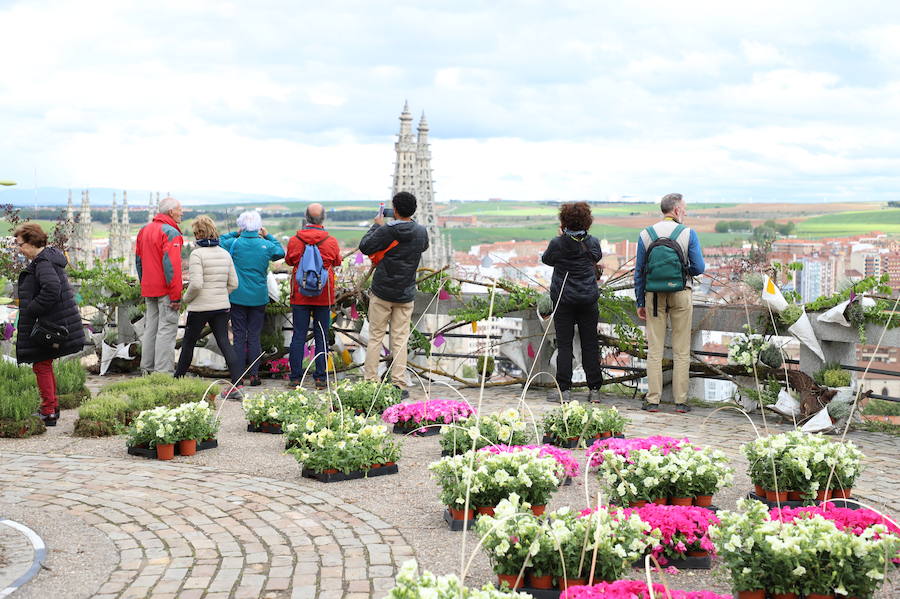 Las flores llenarán de color el centro de la ciudad de Burgos durante todo el fin de semana con motivo de la séptima edición de la Fiesta de las Flores.