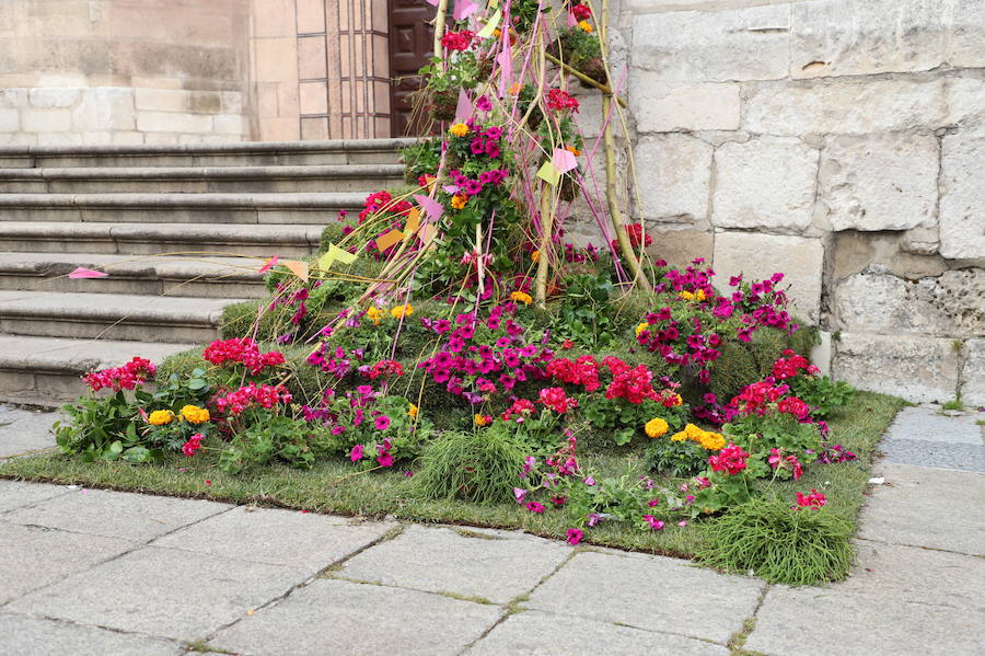 Las flores llenarán de color el centro de la ciudad de Burgos durante todo el fin de semana con motivo de la séptima edición de la Fiesta de las Flores.