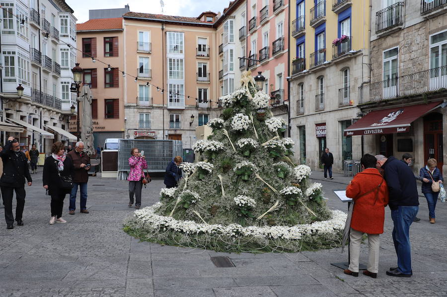 Las flores llenarán de color el centro de la ciudad de Burgos durante todo el fin de semana con motivo de la séptima edición de la Fiesta de las Flores.