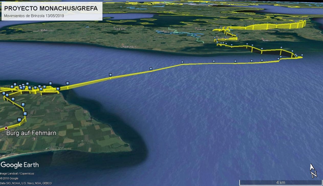 Registro de Brínzola sobrevolando el mar para llegar de Alemania a Dinamarca. 
