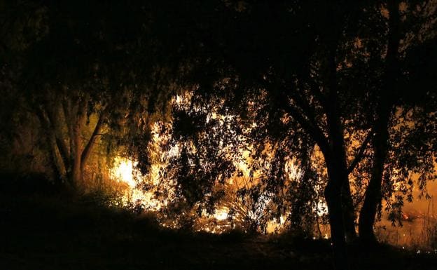 Incendio del jueves en la ribera del Carrión. 