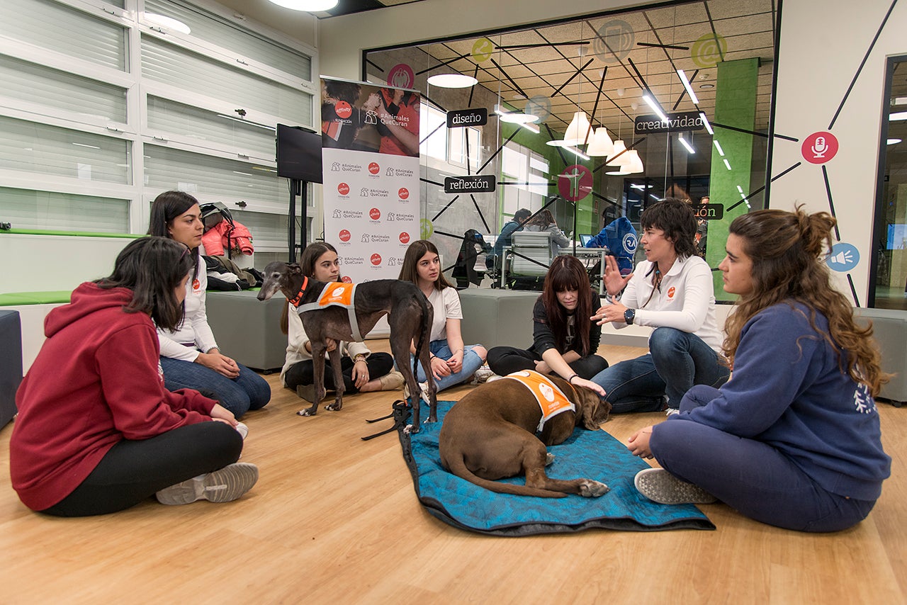 Un perro para calmar la ansiedad en clase