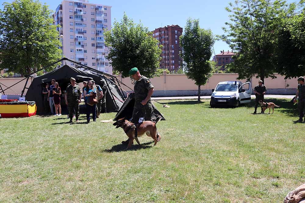 Las unidades militares de Burgos y la Guardia Civil han celebrado el Día de las Fuerzas Armadas con una exhibición de equipamiento y material militar y talleres para grandes y pequeños