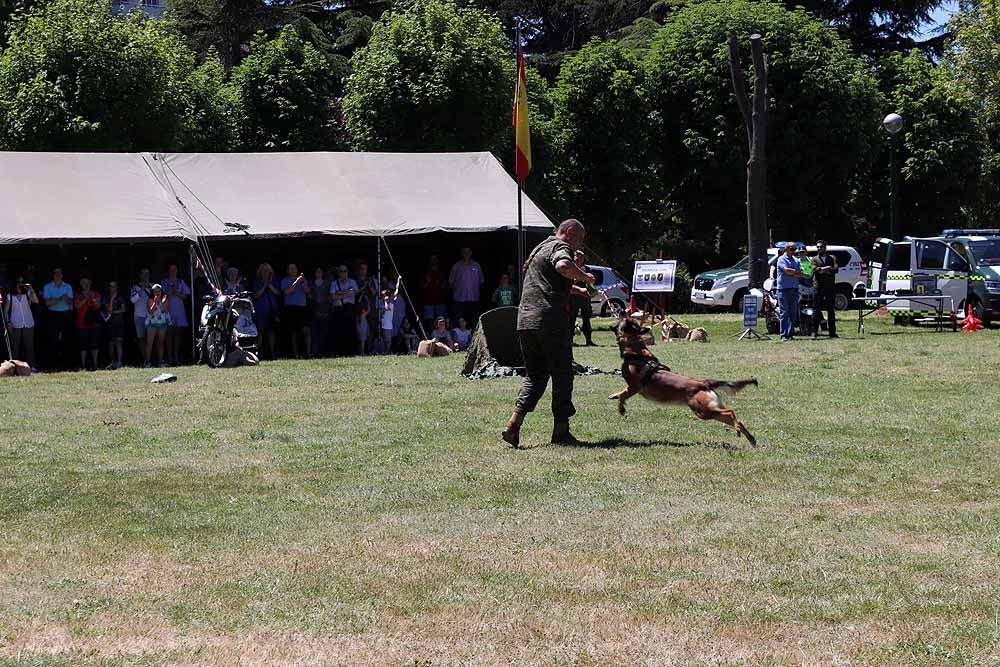 Las unidades militares de Burgos y la Guardia Civil han celebrado el Día de las Fuerzas Armadas con una exhibición de equipamiento y material militar y talleres para grandes y pequeños