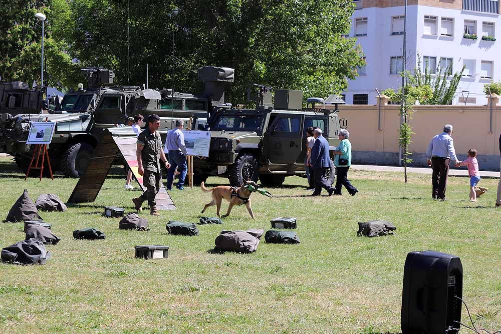 Las unidades militares de Burgos y la Guardia Civil han celebrado el Día de las Fuerzas Armadas con una exhibición de equipamiento y material militar y talleres para grandes y pequeños