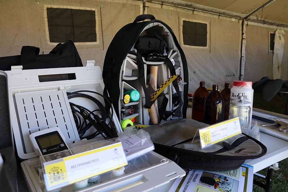 Las unidades militares de Burgos y la Guardia Civil han celebrado el Día de las Fuerzas Armadas con una exhibición de equipamiento y material militar y talleres para grandes y pequeños