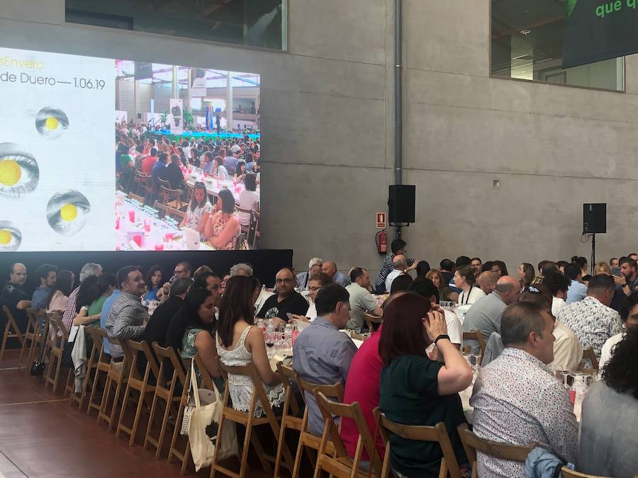 La capital de la Ribera acoge este sábado los Premios Envero, con 1.000 catadores que eligen entre 220 caldos de la DO Ribera del Duero