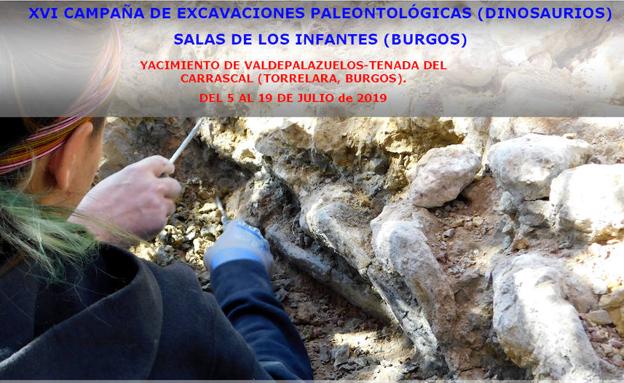 Cartel de la campaña de excavaciones de este verano 2019. 