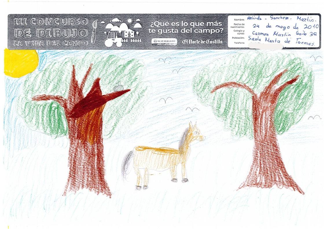 Fotos: Trabajos de 3º de Primaria en la modalidad de dibujo del III Concurso de Dibujo y Cómic &#039;La vida del campo&#039;