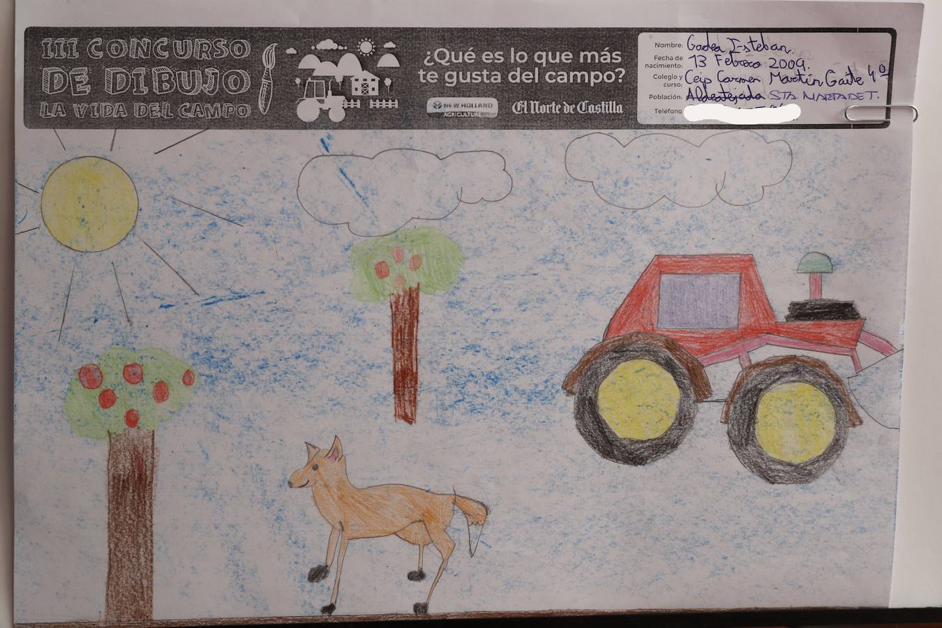 Fotos: Trabajos de 4º de Primaria en la modalidad de dibujo del III Concurso de Dibujo y Cómic &#039;La vida del campo&#039;