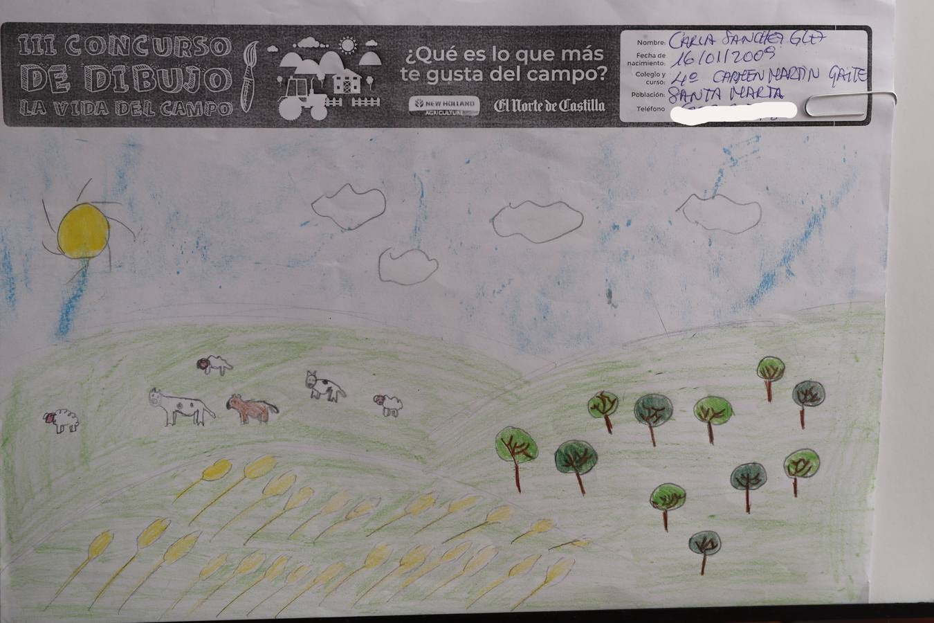 Fotos: Trabajos de 4º de Primaria en la modalidad de dibujo del III Concurso de Dibujo y Cómic &#039;La vida del campo&#039;