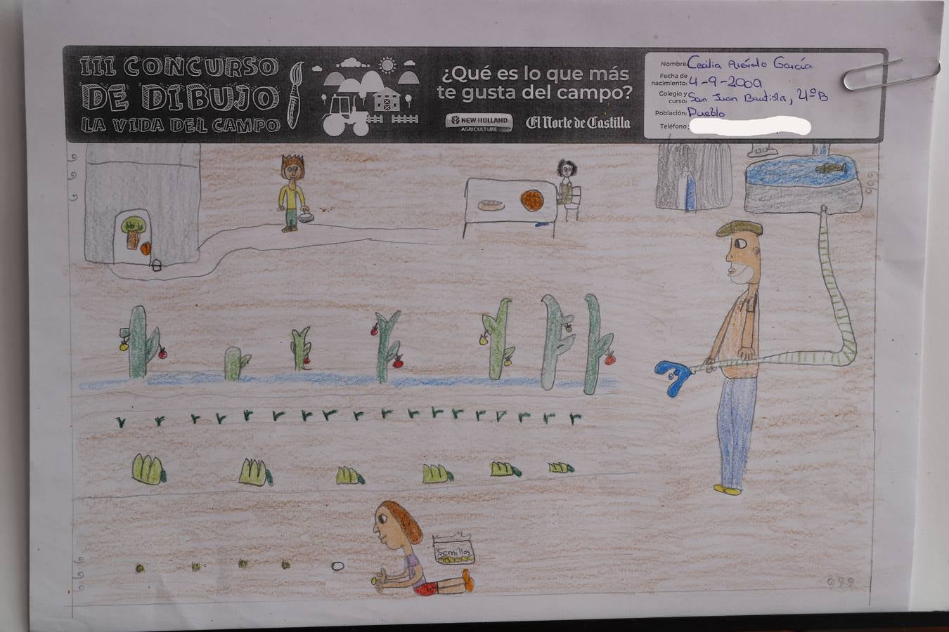 Fotos: Trabajos de 4º de Primaria en la modalidad de dibujo del III Concurso de Dibujo y Cómic &#039;La vida del campo&#039;