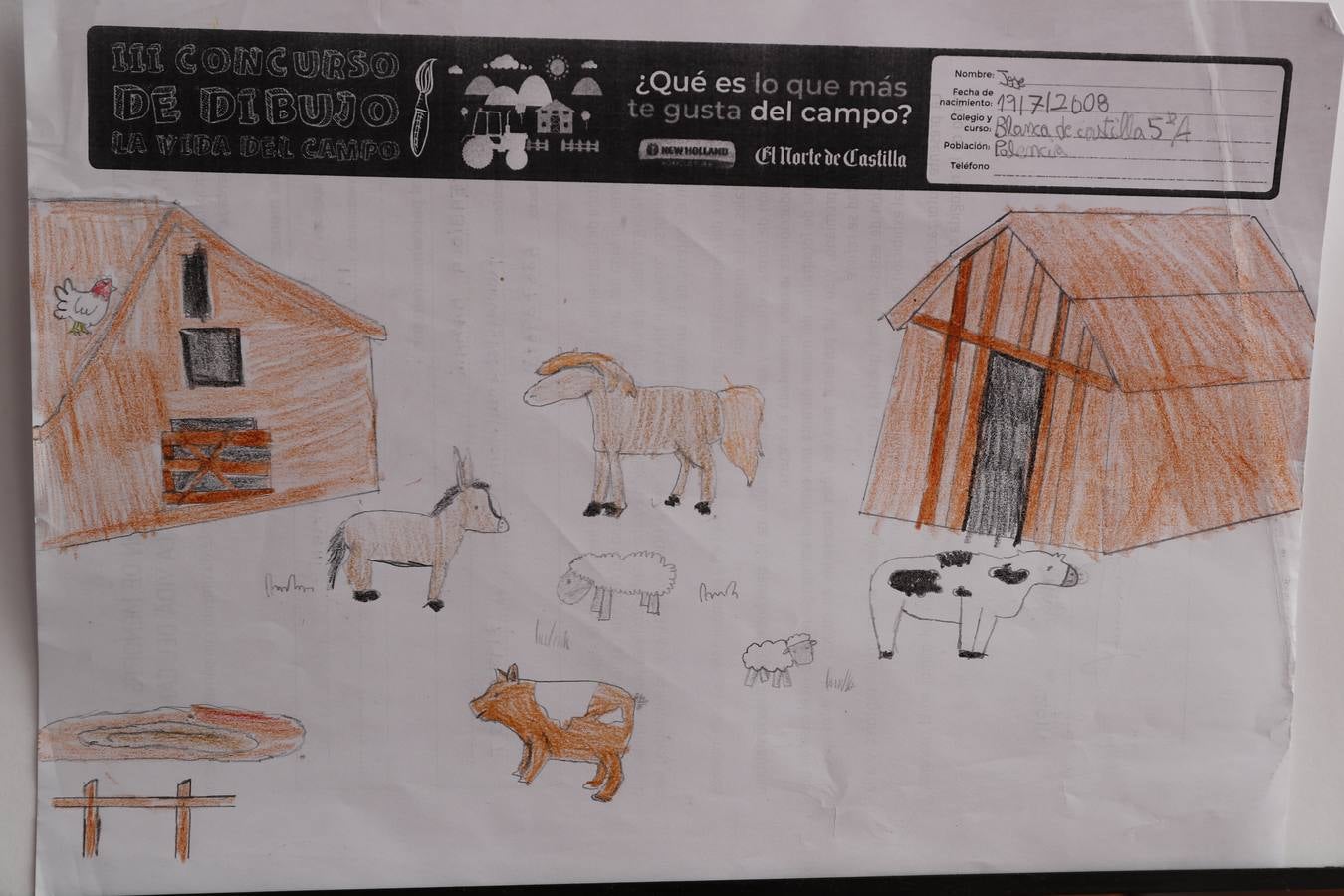 Fotos: Trabajos de 5º de Primaria en la modalidad de dibujo del III Concurso de Dibujo y Cómic &#039;La vida del campo&#039;