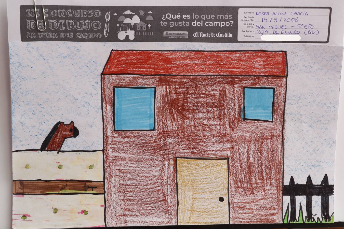 Fotos: Trabajos de 5º de Primaria en la modalidad de dibujo del III Concurso de Dibujo y Cómic &#039;La vida del campo&#039;