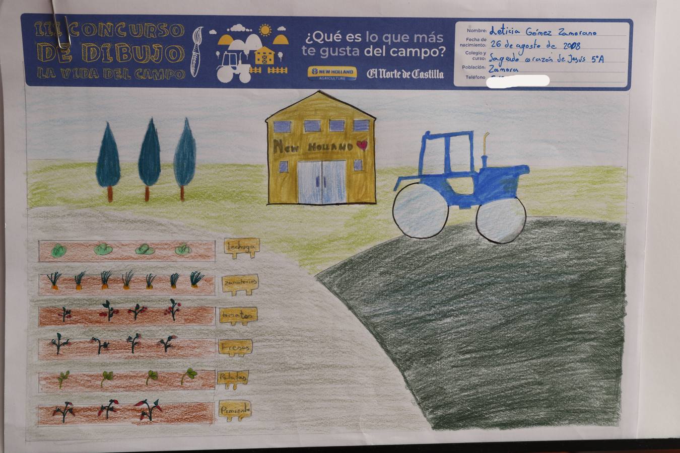 Fotos: Trabajos de 5º de Primaria en la modalidad de dibujo del III Concurso de Dibujo y Cómic &#039;La vida del campo&#039;