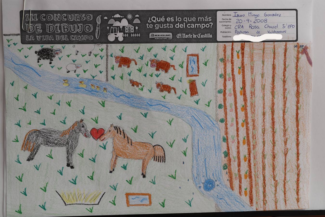 Fotos: Trabajos de 5º de Primaria en la modalidad de dibujo del III Concurso de Dibujo y Cómic &#039;La vida del campo&#039;