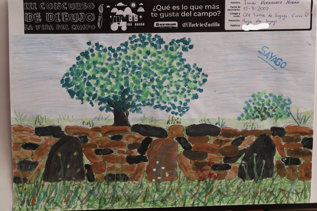 Fotos: Trabajos de 6º de Primaria en la modalidad de dibujo del III Concurso de Dibujo y Cómic &#039;La vida del campo&#039;