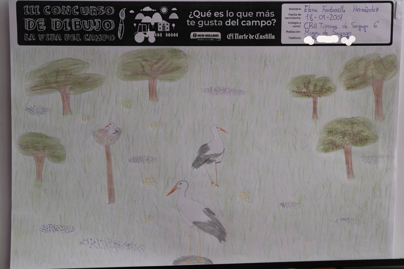 Fotos: Trabajos de 6º de Primaria en la modalidad de dibujo del III Concurso de Dibujo y Cómic &#039;La vida del campo&#039;