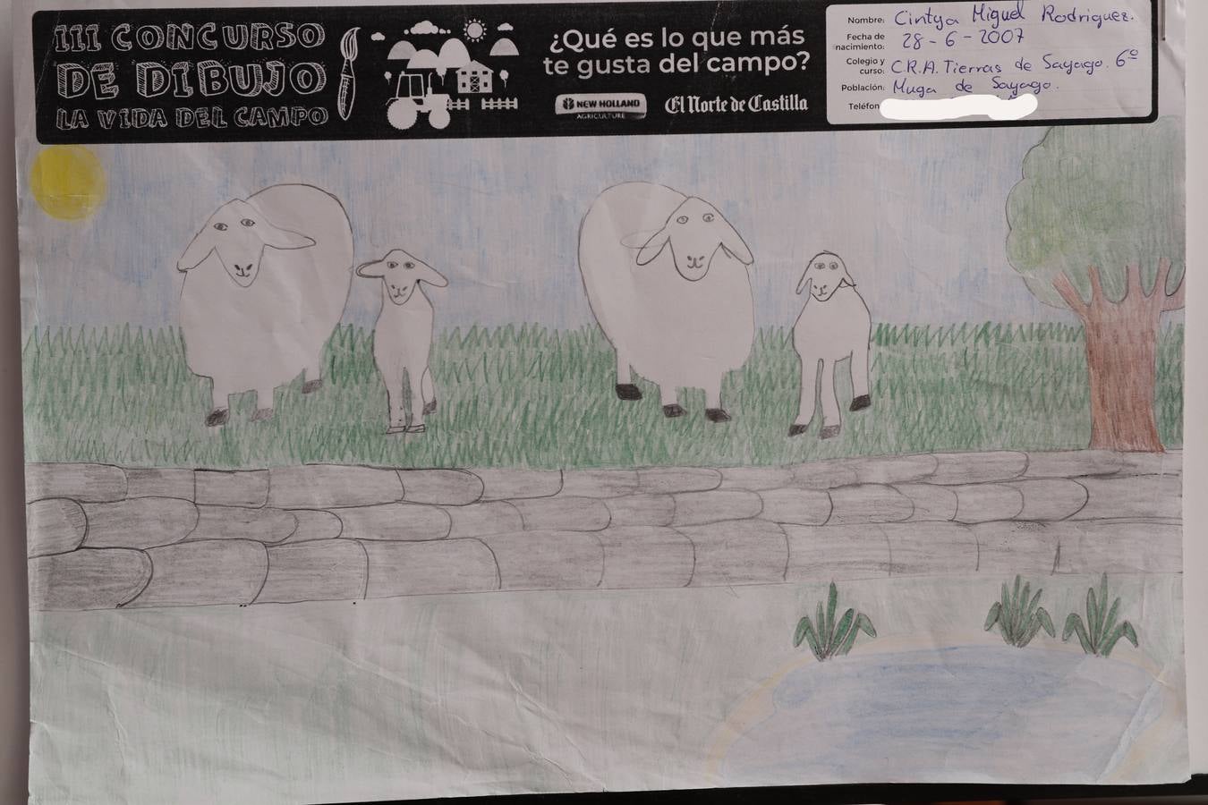 Fotos: Trabajos de 6º de Primaria en la modalidad de dibujo del III Concurso de Dibujo y Cómic &#039;La vida del campo&#039;